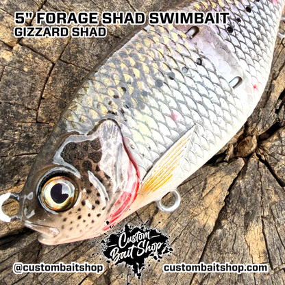 5" Forage Shad - Micro Glide
