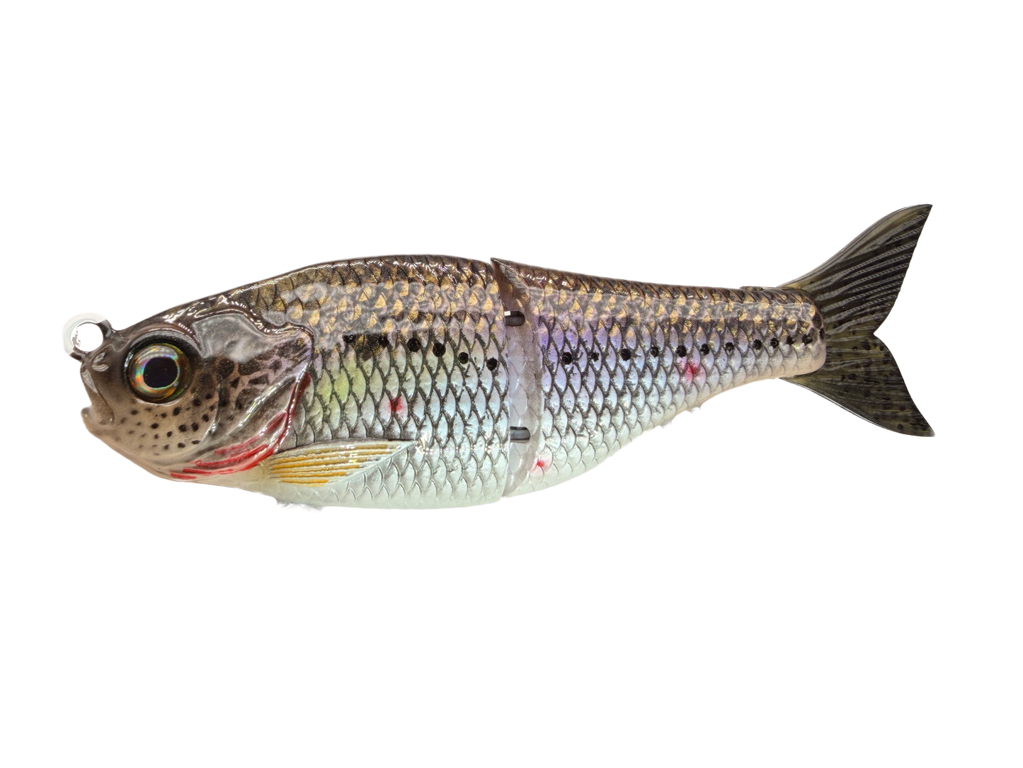 5" Forage Shad - Micro Glide