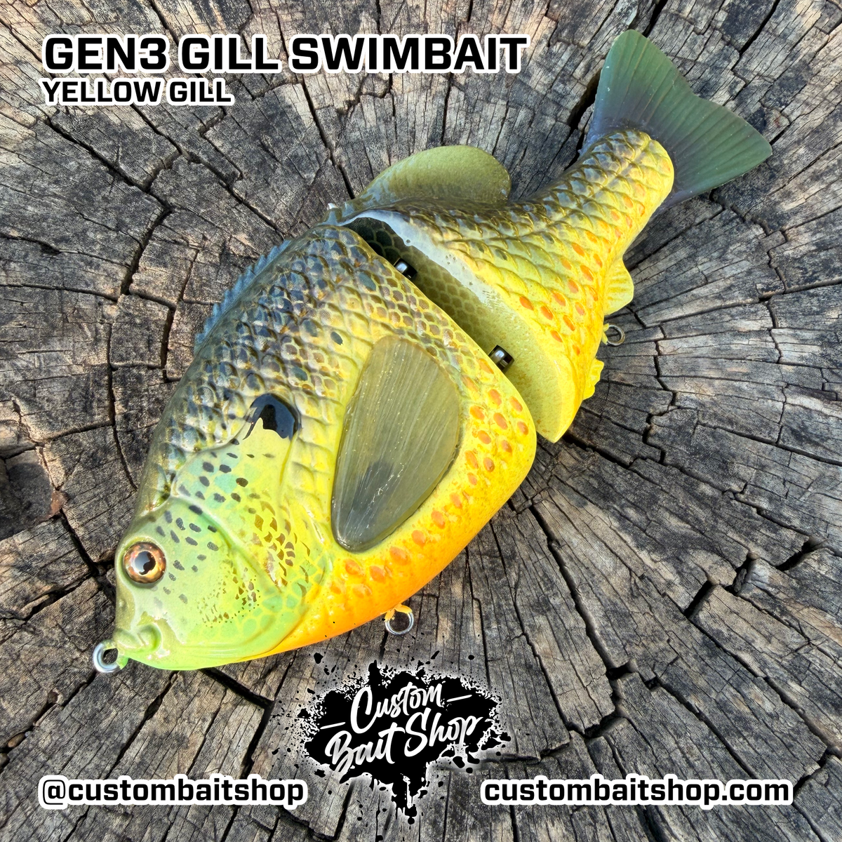 BC Gen3 - Resin Swimbaits