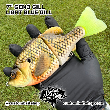 BC Gen3 - Painted Resin Baits
