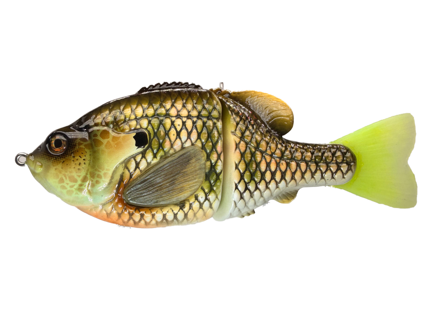BC Gen3 - Painted Resin Baits