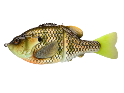BC Gen3 - Painted Resin Baits