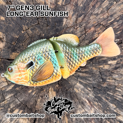 BC Gen3 - Painted Resin Baits