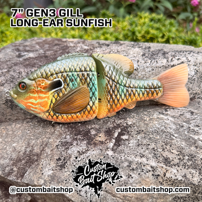 BC Gen3 - Painted Resin Baits
