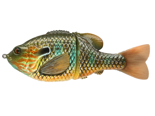 BC Gen3 - Painted Resin Baits