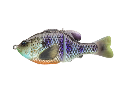 BC Gen3 MINI - Painted Resin Baits
