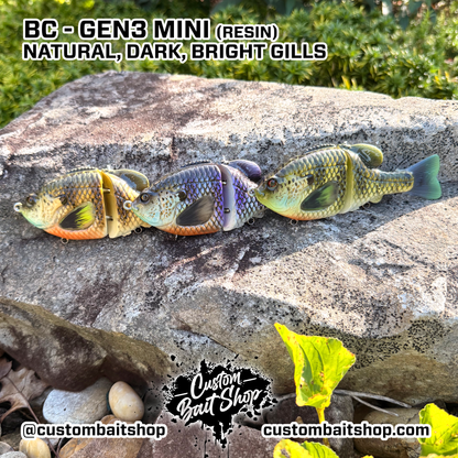 BC Gen3 MINI - Painted Resin Baits