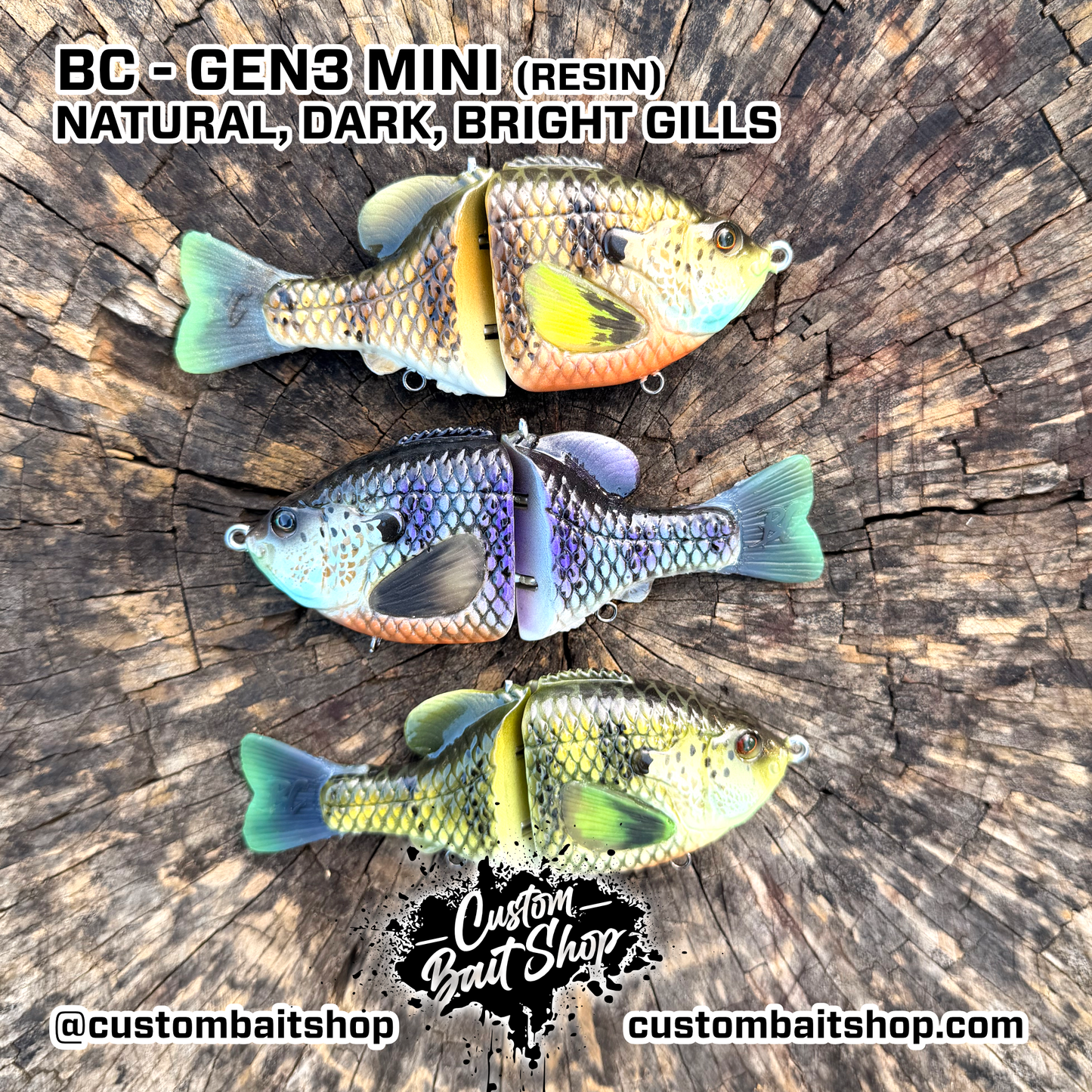 BC Gen3 MINI - Painted Resin Baits