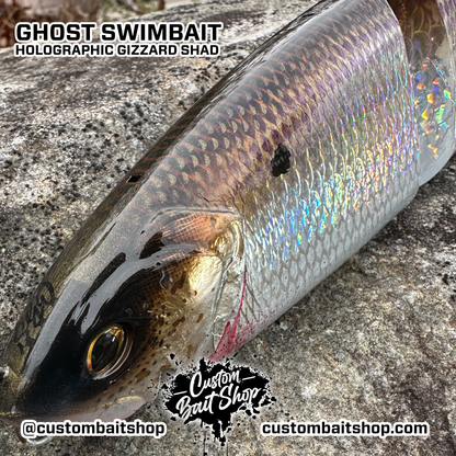 13" DRT Ghost Swim Bait Clone
