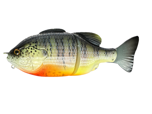 6" GillRoid Swim Bait