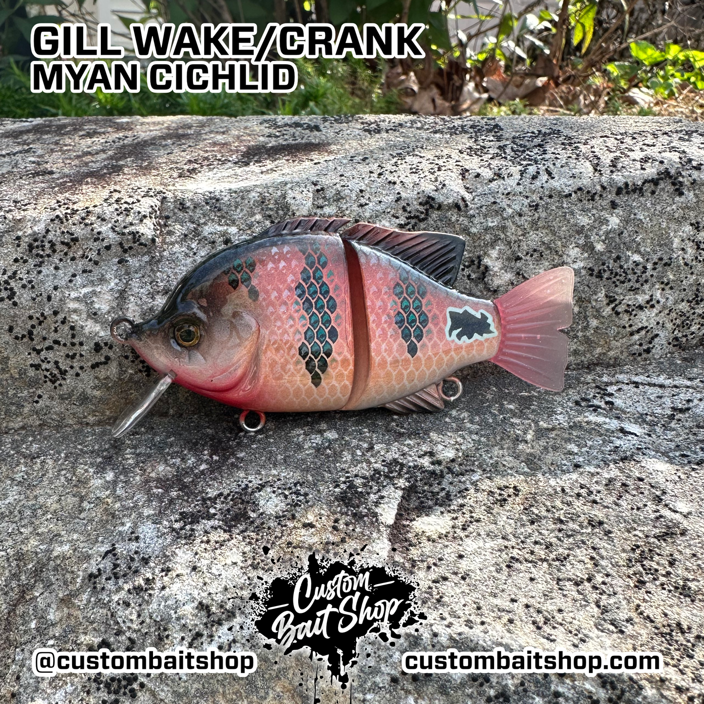 4" Blue Gill Wake Bait