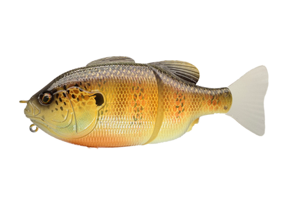 6" GillRoid Swim Bait (Sale)