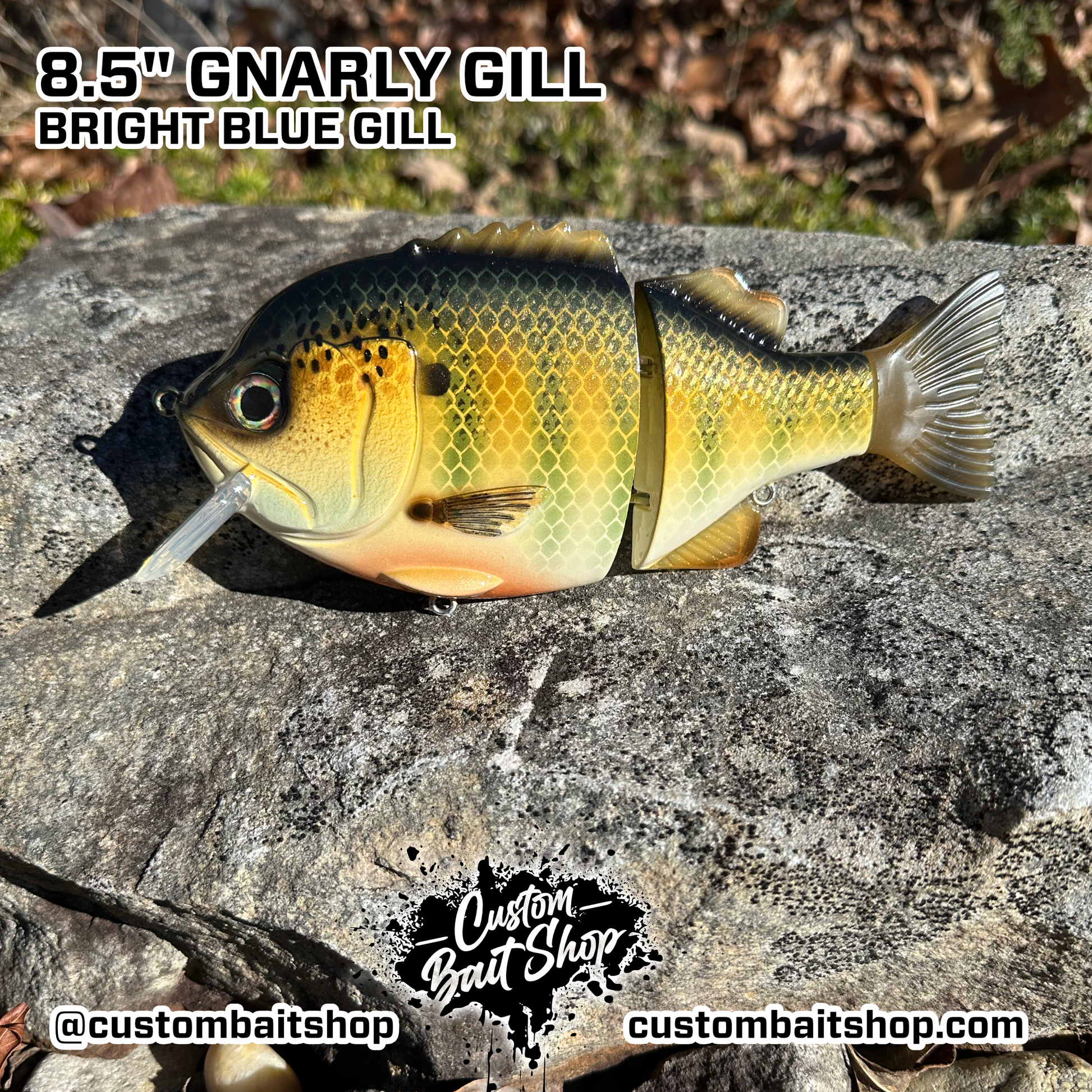 big fish custom lures Adam's Havok Team Rhino Outdoors LLC the BigMakk consistently draws explosive strikes from fish looking to ambush prey on the surface 7" Big Belly Glide Bait