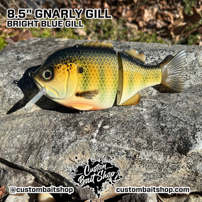 8.5" Gnarly Gill (Sale)