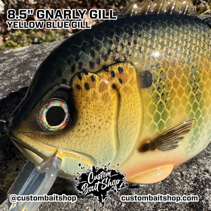 8.5" Gnarly Gill (Sale)