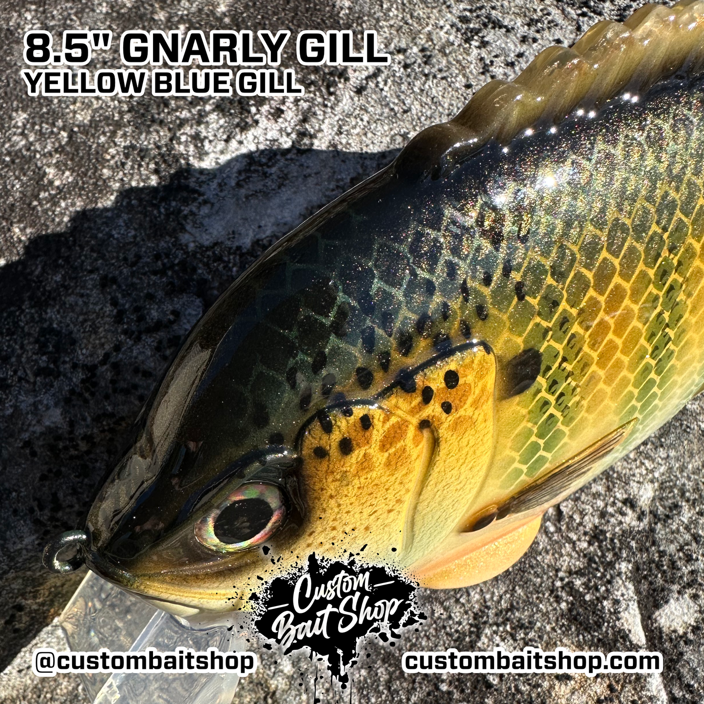 8.5" Gnarly Gill (Sale)
