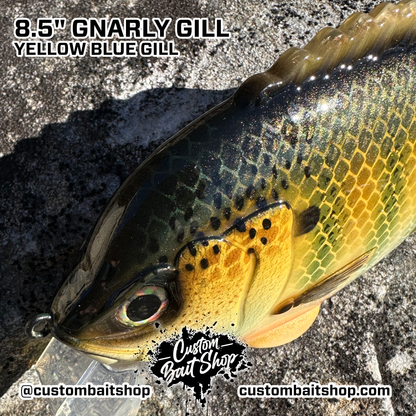 8.5" Gnarly Gill (Sale)