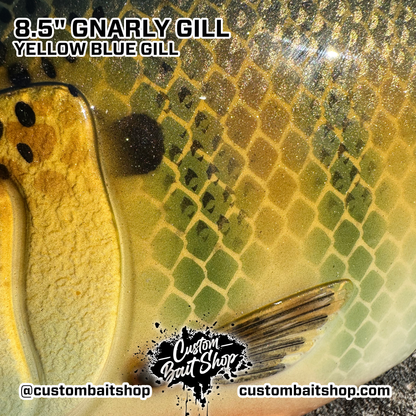 8.5" Gnarly Gill (Sale)