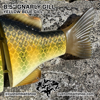 8.5" Gnarly Gill (Sale)