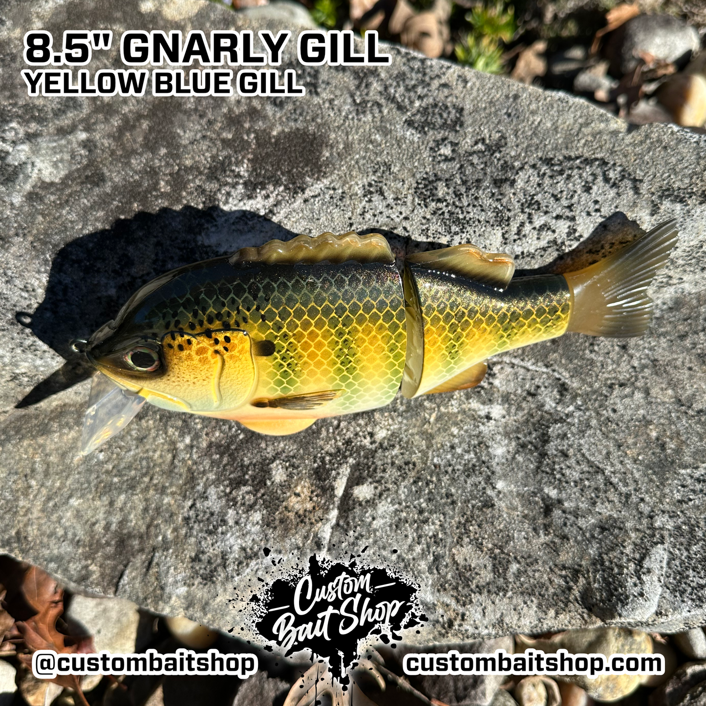8.5" Gnarly Gill (Sale)