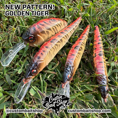Golden Tiger - Random Sizes (Sale)