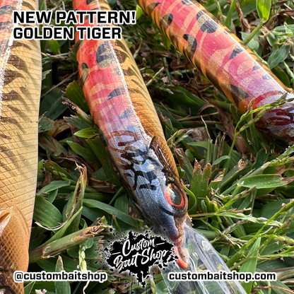 Golden Tiger - Random Sizes (Sale)