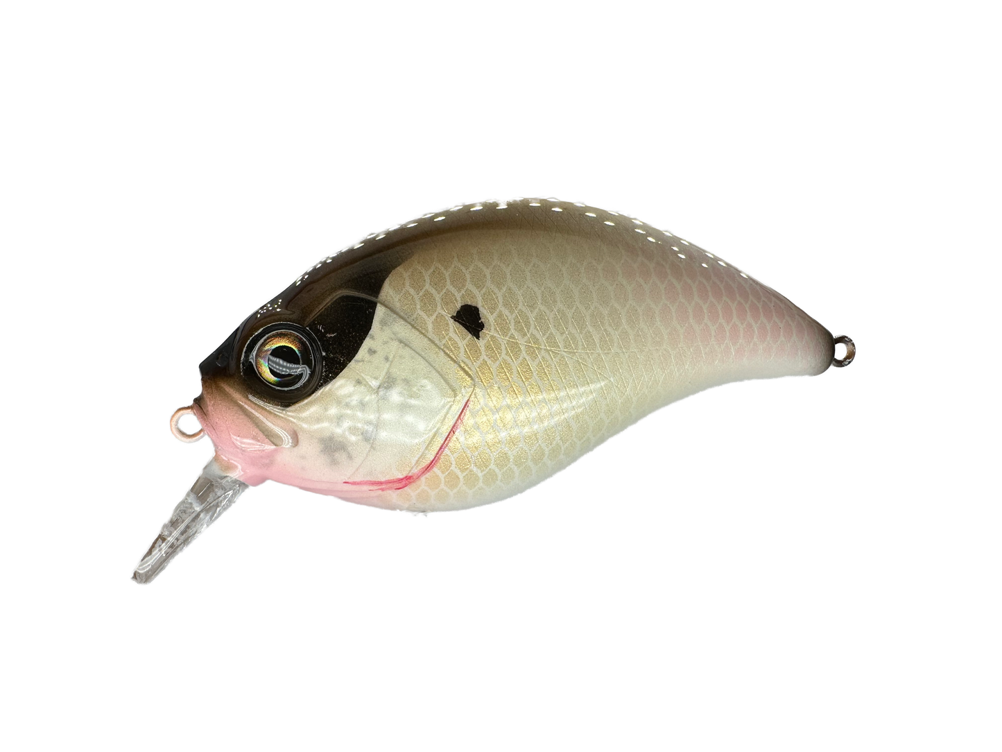 4" Grenade Clone - Bone (Sale)