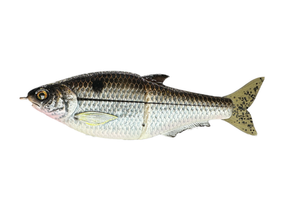 Hinkle Shad Style Finesse Glide Bait