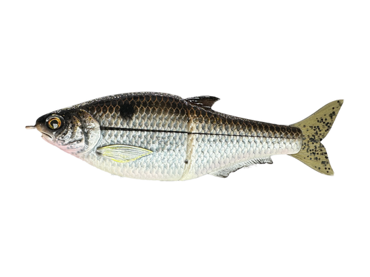 Hinkle Shad Style Finesse Glide Bait