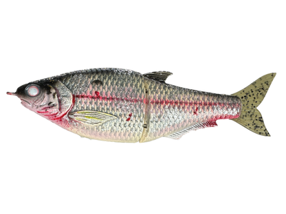 Hinkle Shad Style Finesse Glide Bait