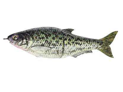 Hinkle Shad Style Finesse Glide Bait