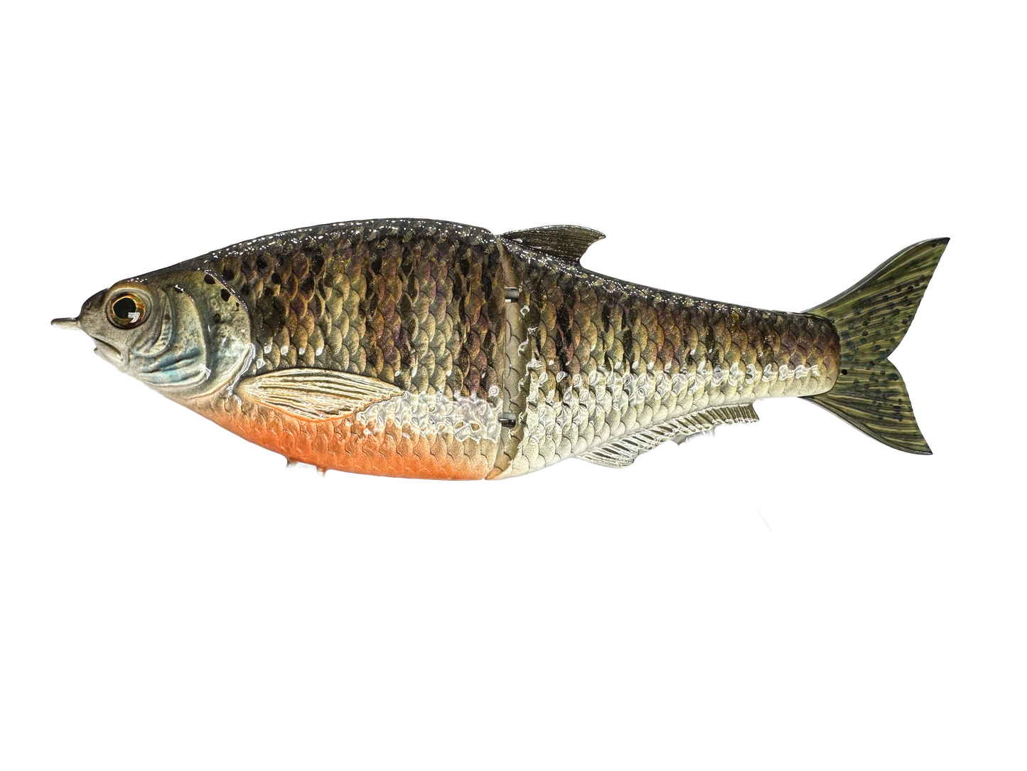 Hinkle Shad Style Finesse Glide Bait