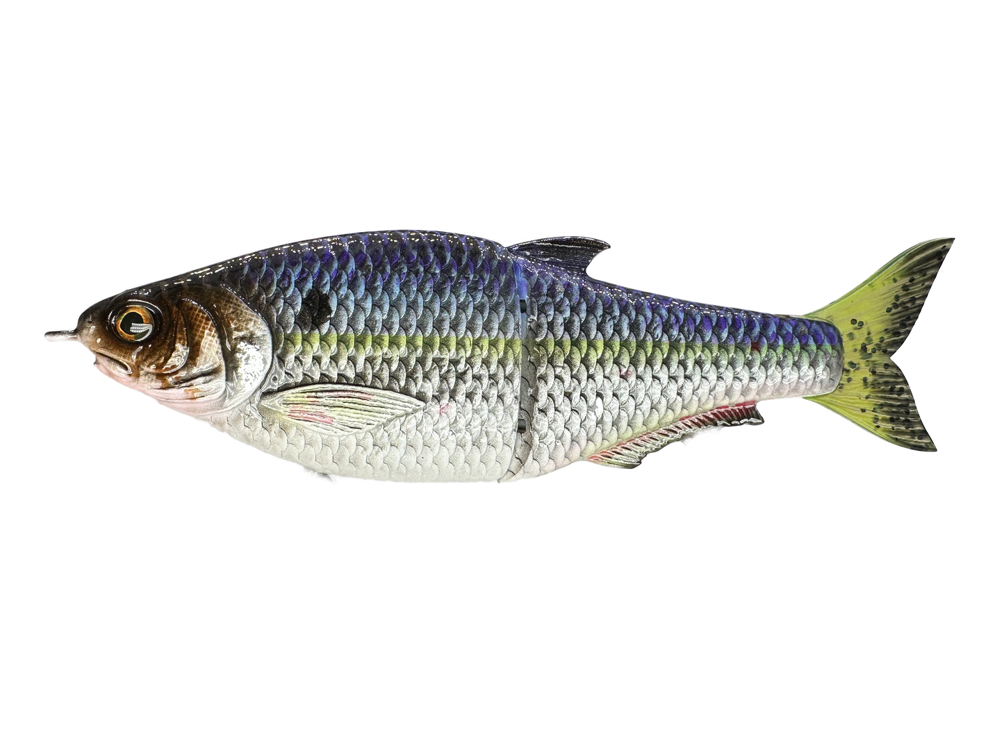 Hinkle Shad Style Finesse Glide Bait