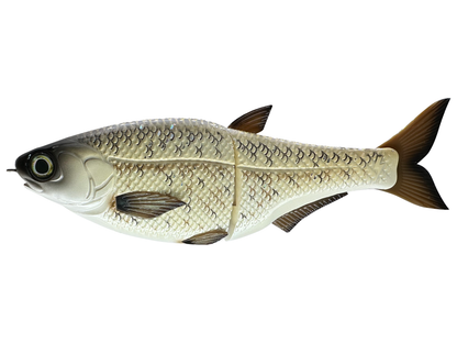 Hinko 9" Shad - Special Patterns