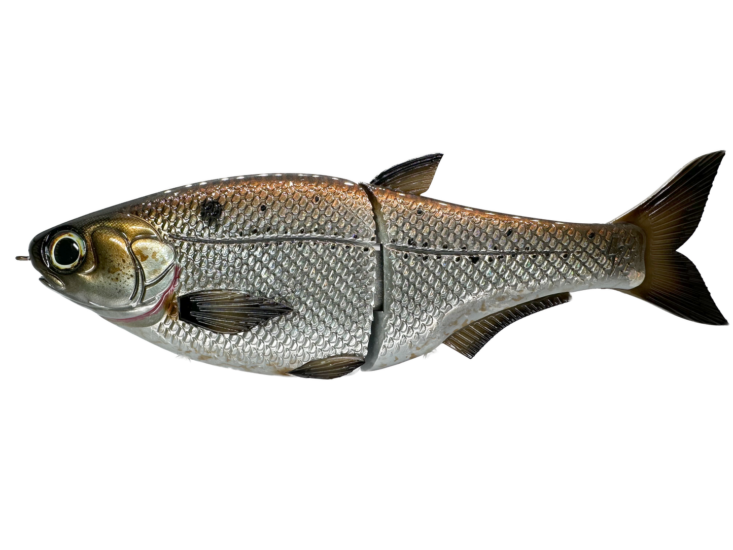 9" Hinko Shad Glide Bait