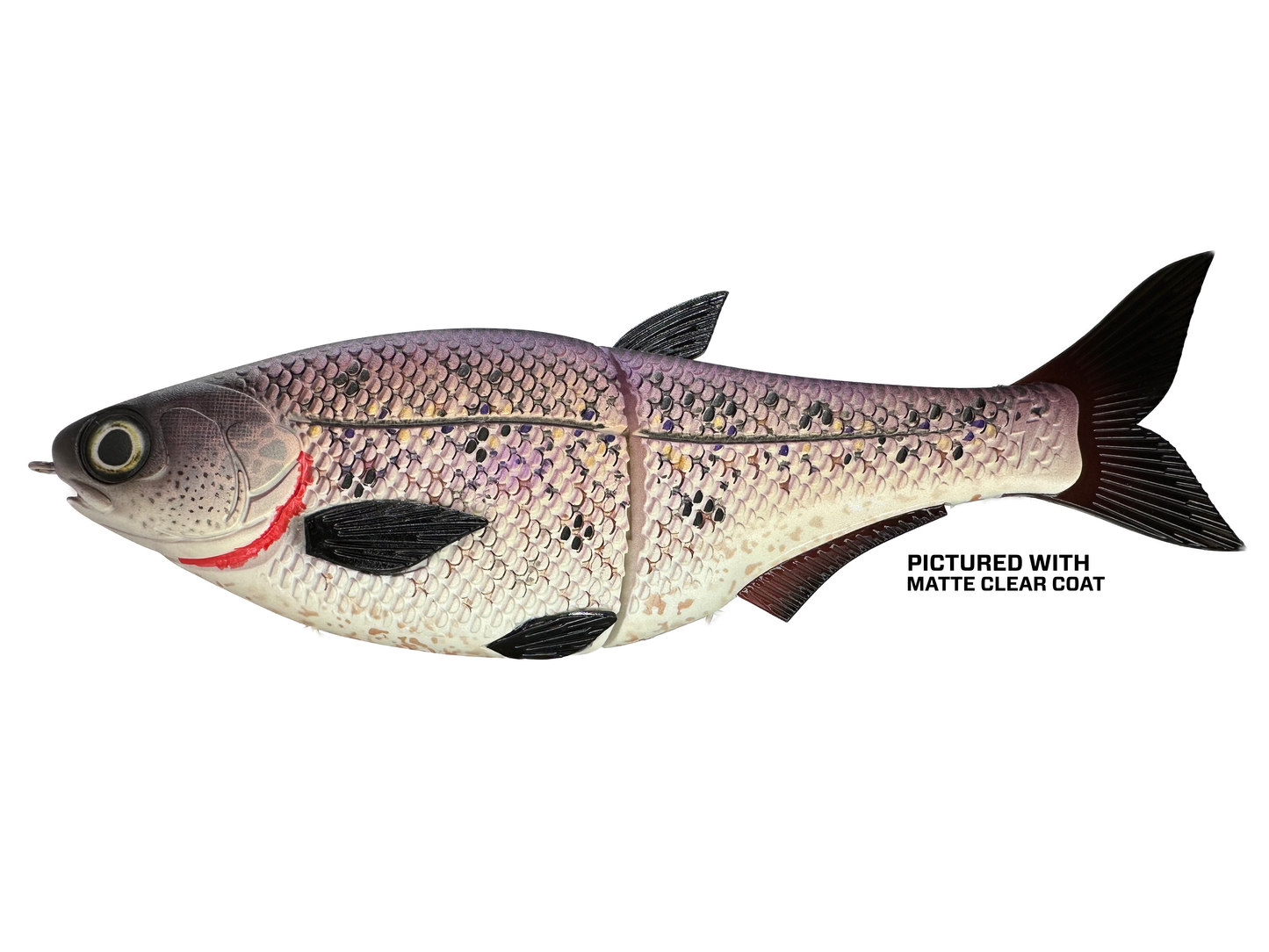 9" Hinko Shad - Special Patterns