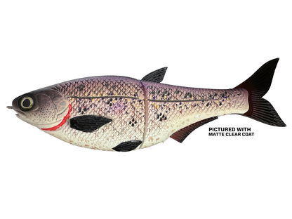 9" Hinko Shad - Special Patterns