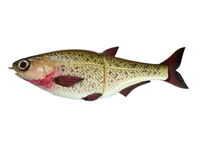 9" Hinko Shad - Special Patterns