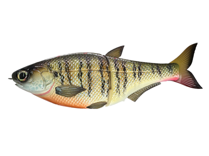 9" Hinko Shad Glide Bait