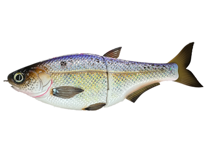 9" Hinko Shad Glide Bait