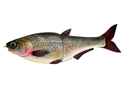 Hinko 9" Shad - Special Patterns