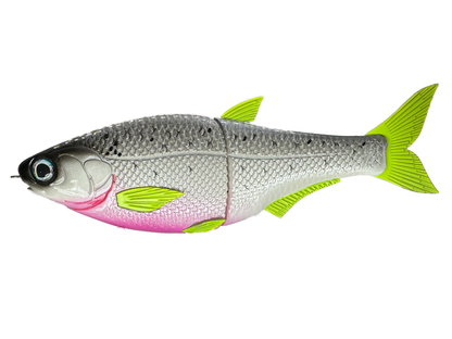 9" Hinko Shad - Special Patterns