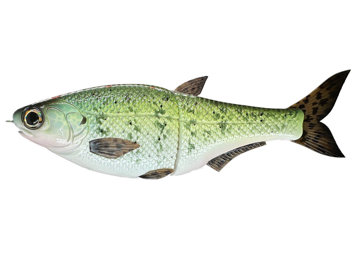 CBS-HinkoShad-WCrappie2026- CBS-HinkoShad-WCrappie2026-