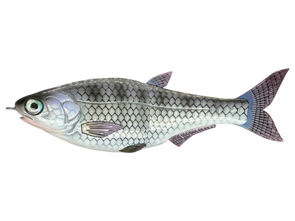7" Hinko Shad Jr. - Special Patterns