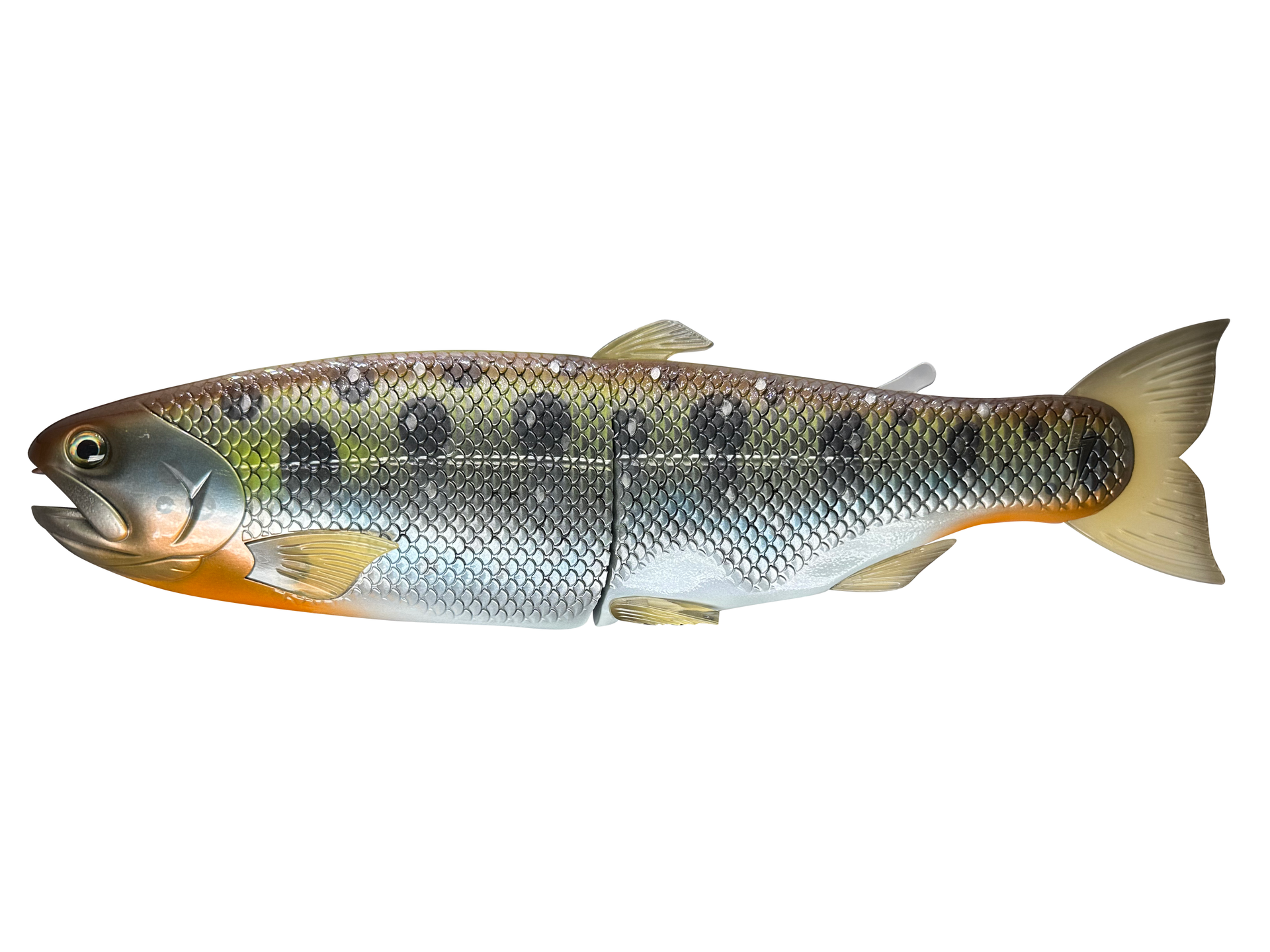 CBS-HinkoTrout-CharYamaTrout-