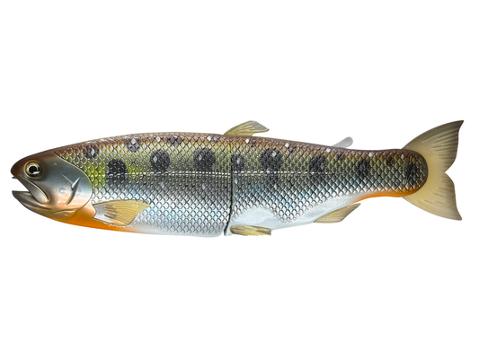 11" Hinko Trout - Yamame Trout (Sale)