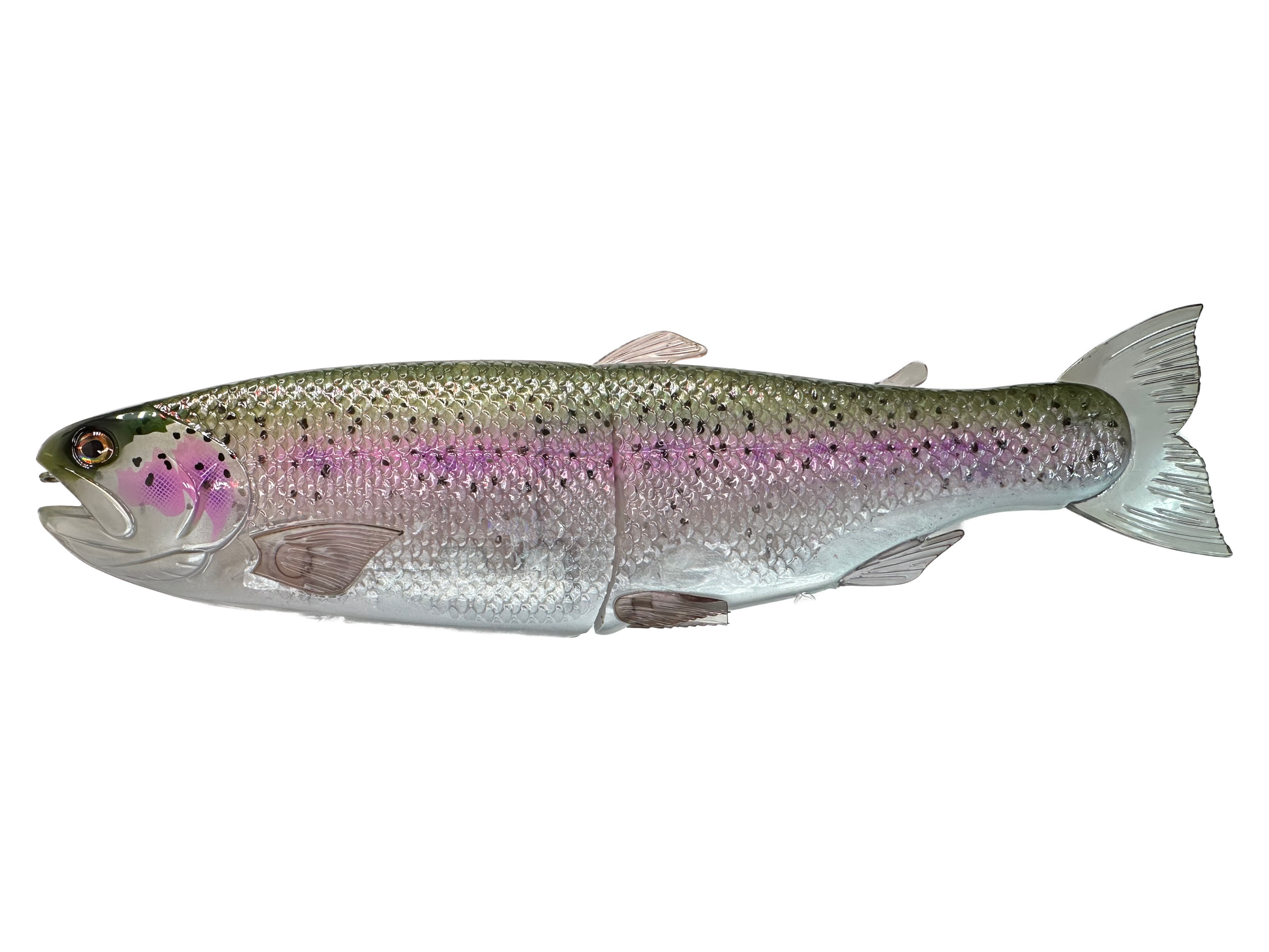 Hinkle Trout 11