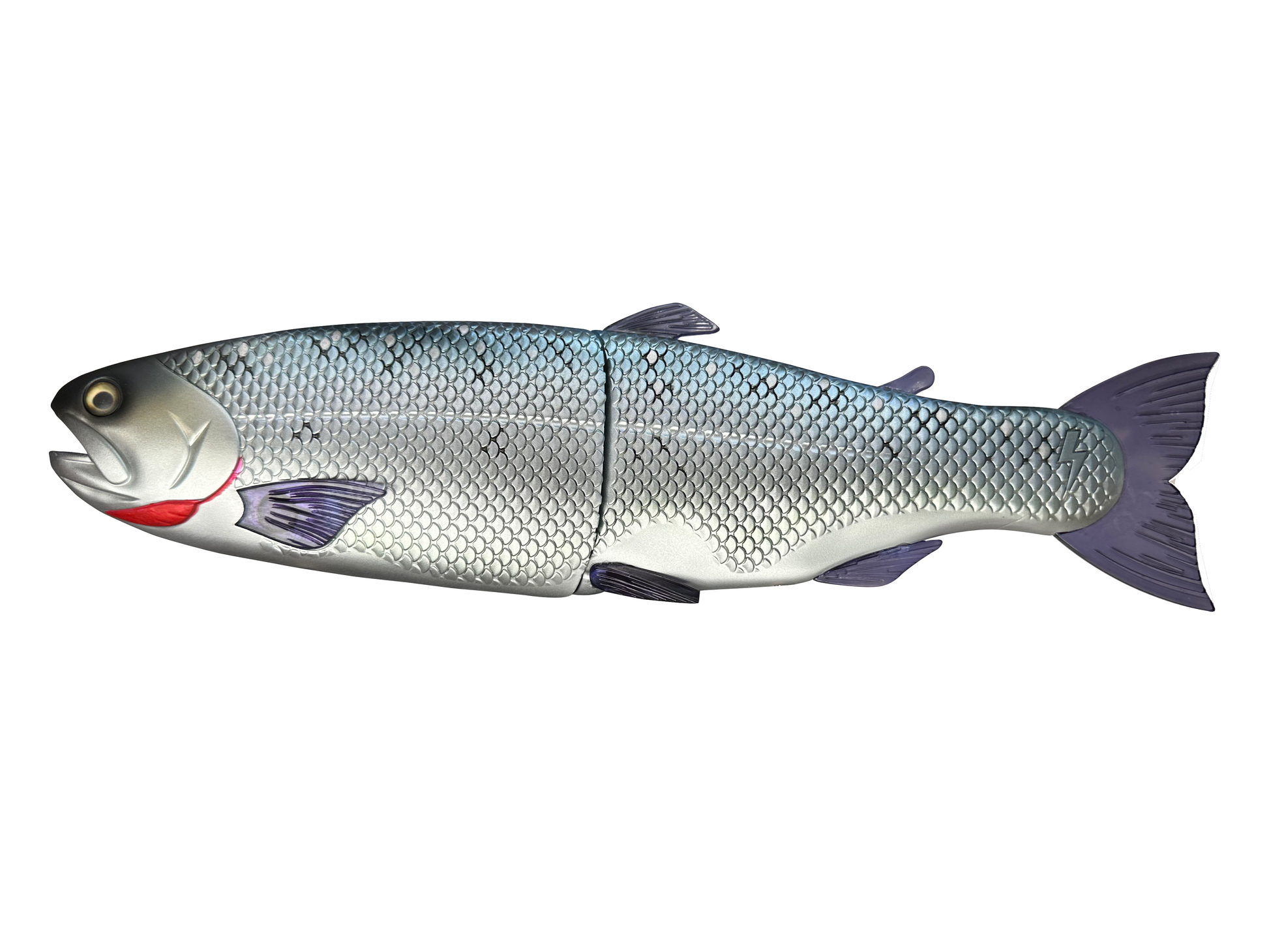 CBS-HinkoTrout-KokeTroutOct24. CBS-HinkoTrout-KokeTroutOct24.