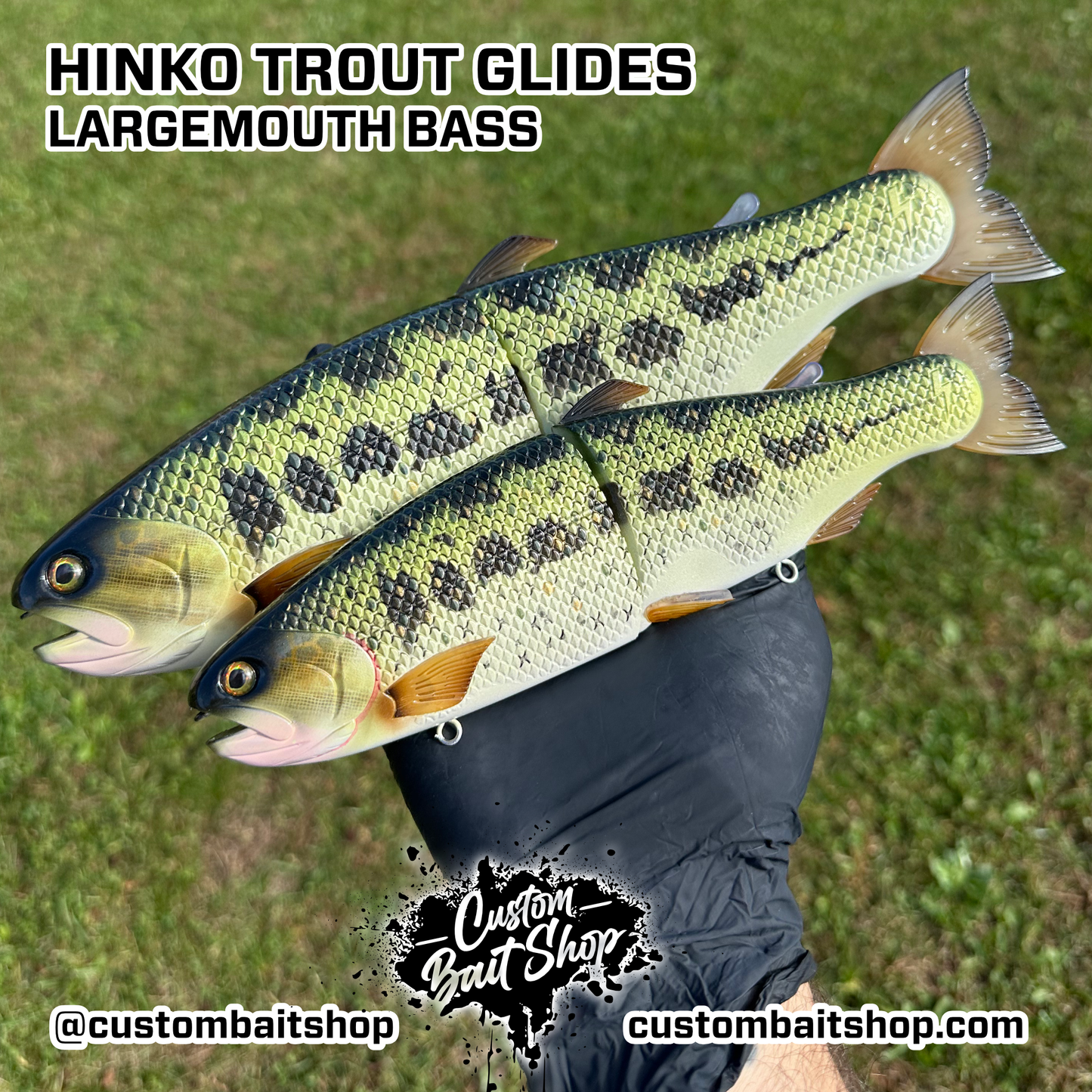 11" Hinko Trout - Special Patterns