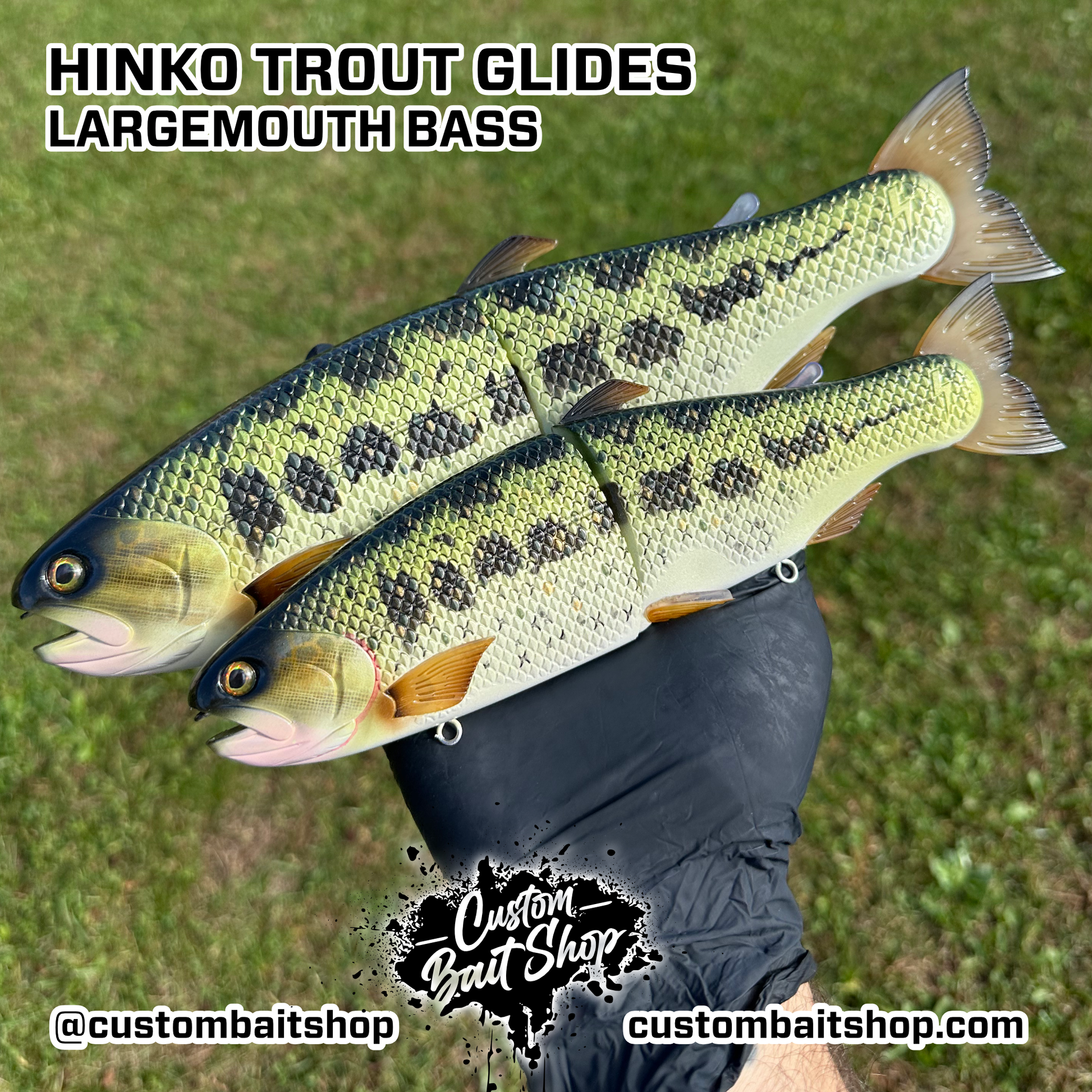 Hinkle Trout 11